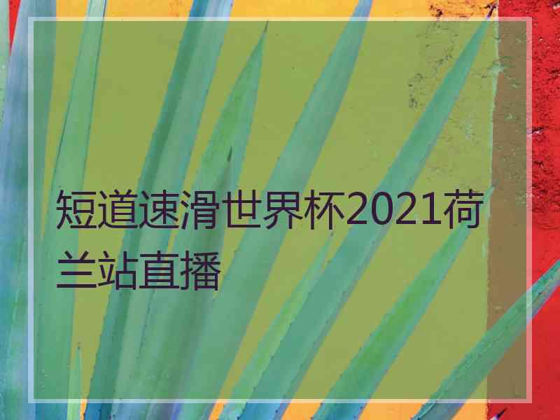 短道速滑世界杯2021荷兰站直播