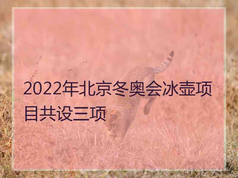 2022年北京冬奥会冰壶项目共设三项