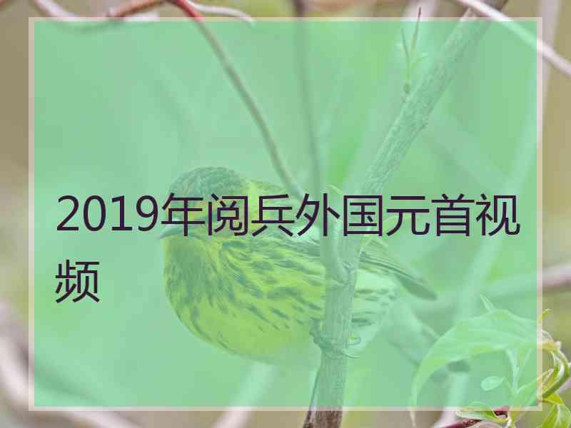 2019年阅兵外国元首视频