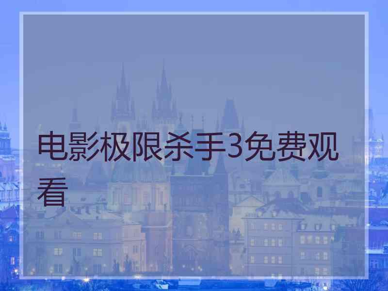 电影极限杀手3免费观看