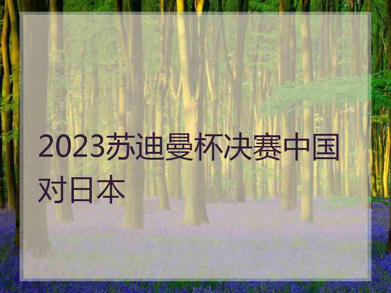 2023苏迪曼杯决赛中国对日本