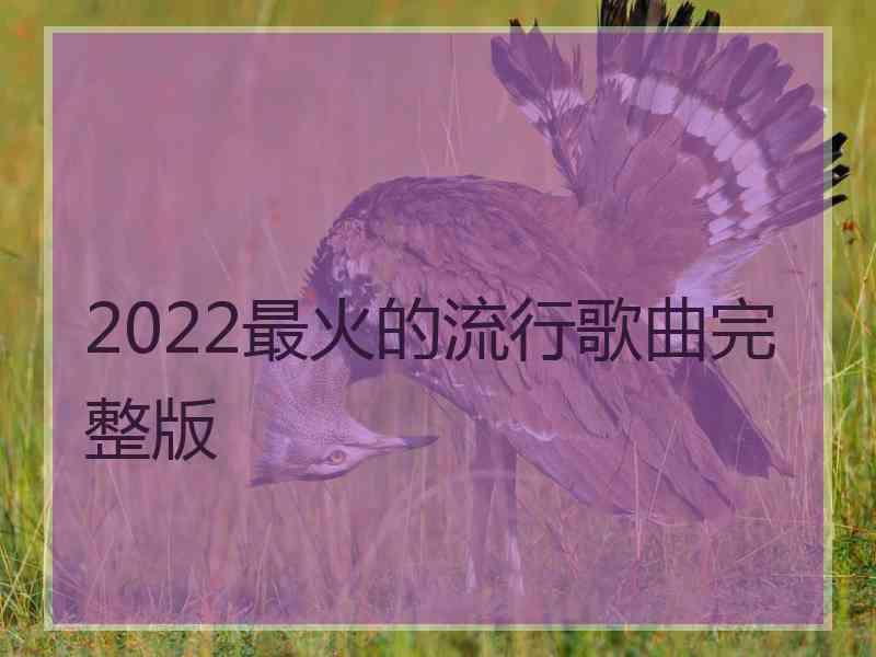 2022最火的流行歌曲完整版