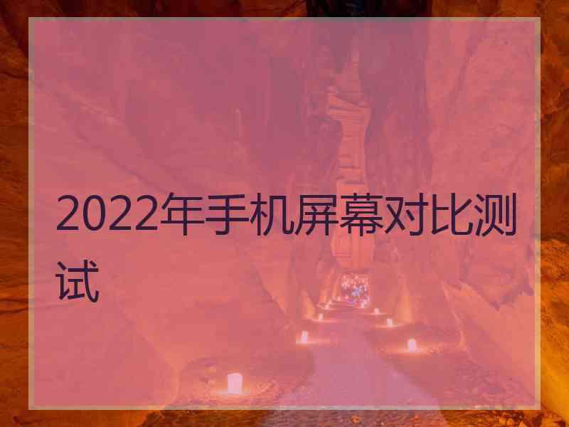 2022年手机屏幕对比测试