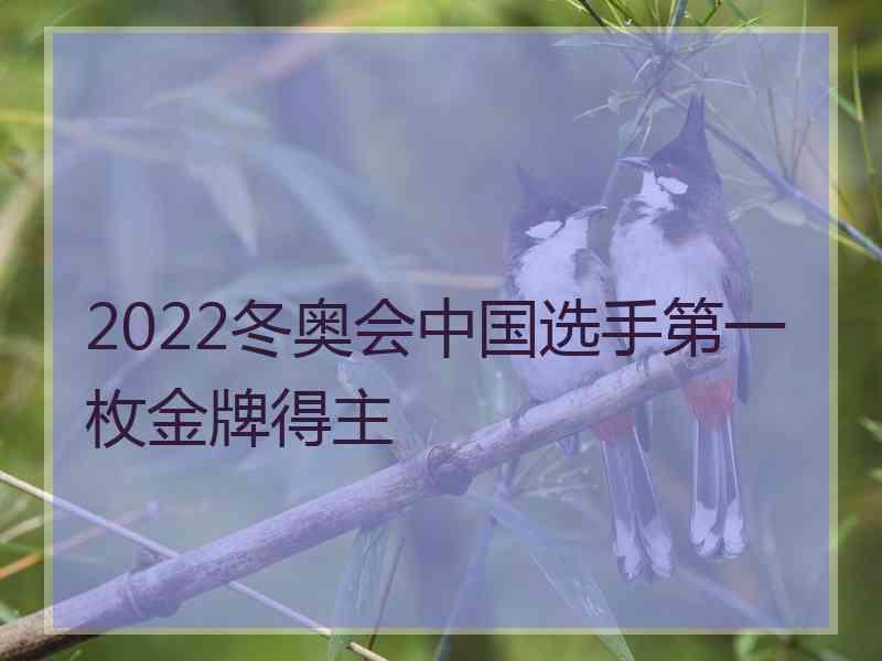 2022冬奥会中国选手第一枚金牌得主