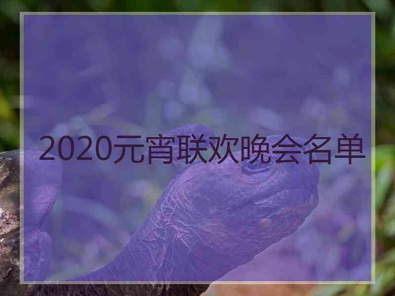 2020元宵联欢晚会名单