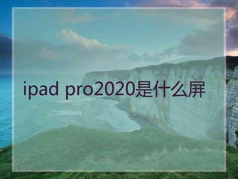 ipad pro2020是什么屏