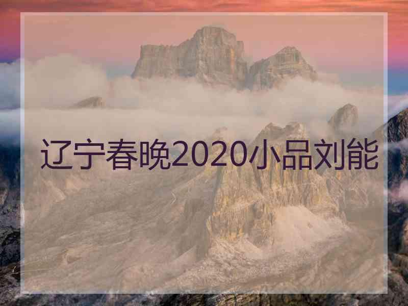 辽宁春晚2020小品刘能