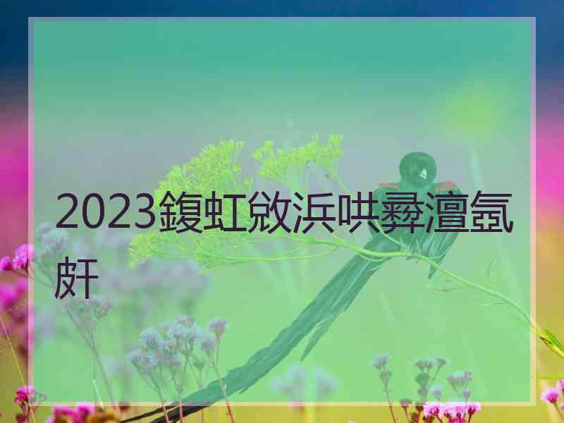 2023鍑虹敓浜哄彛澶氬皯