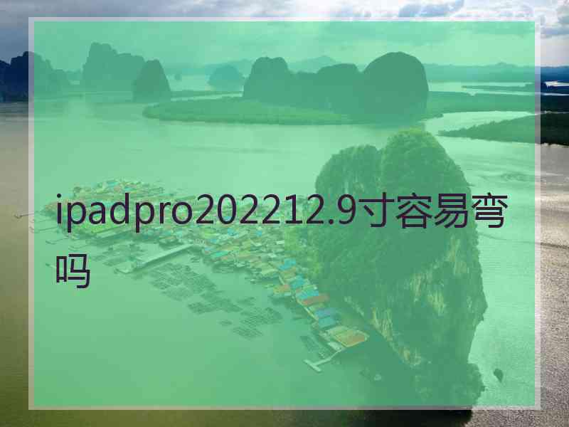 ipadpro202212.9寸容易弯吗