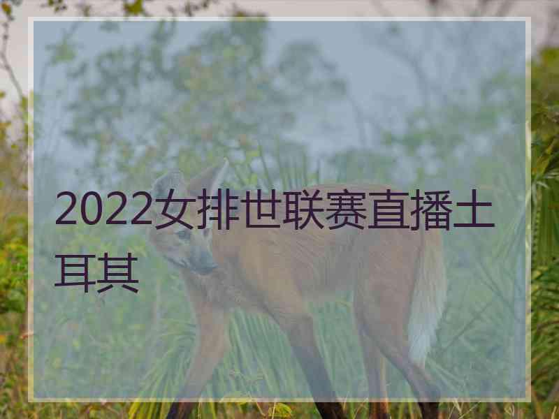 2022女排世联赛直播土耳其