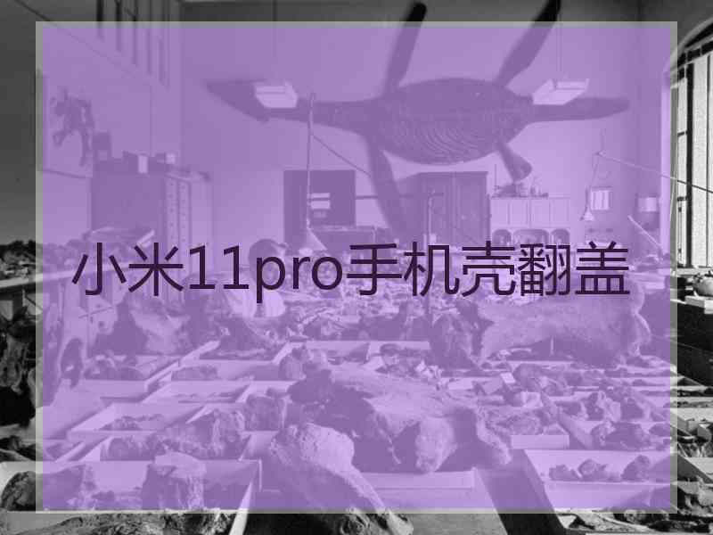 小米11pro手机壳翻盖