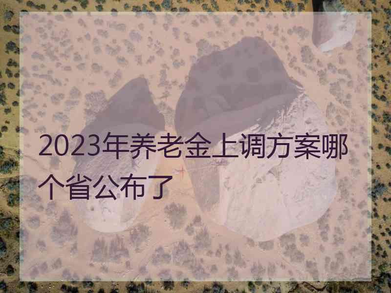 2023年养老金上调方案哪个省公布了