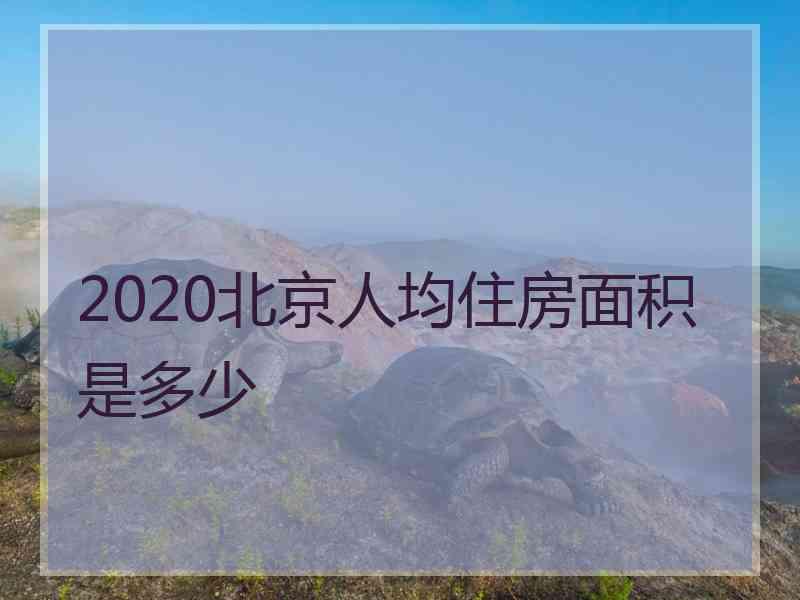 2020北京人均住房面积是多少