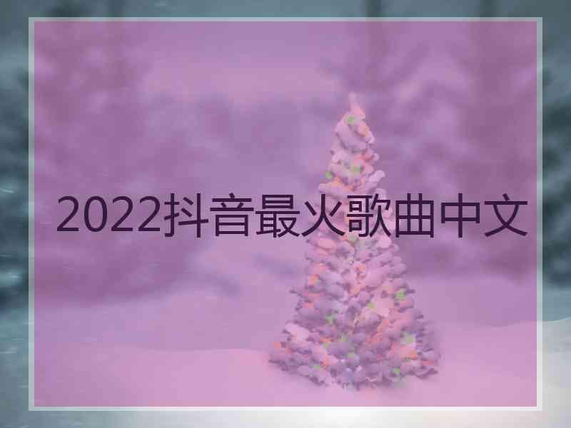 2022抖音最火歌曲中文