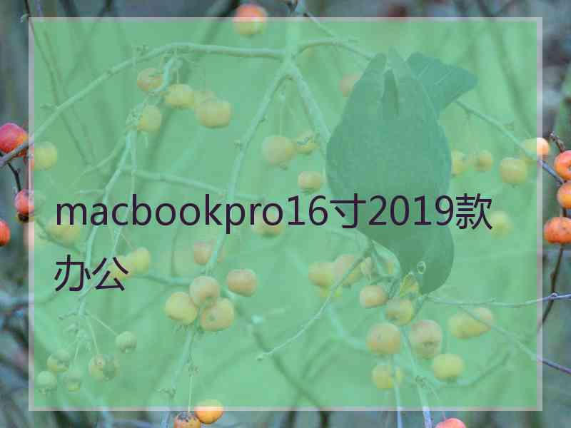 macbookpro16寸2019款办公