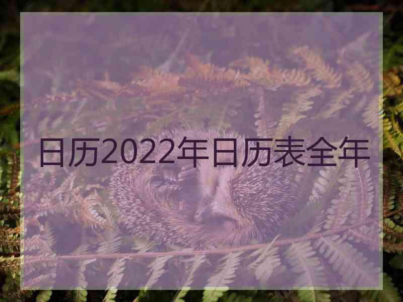 日历2022年日历表全年