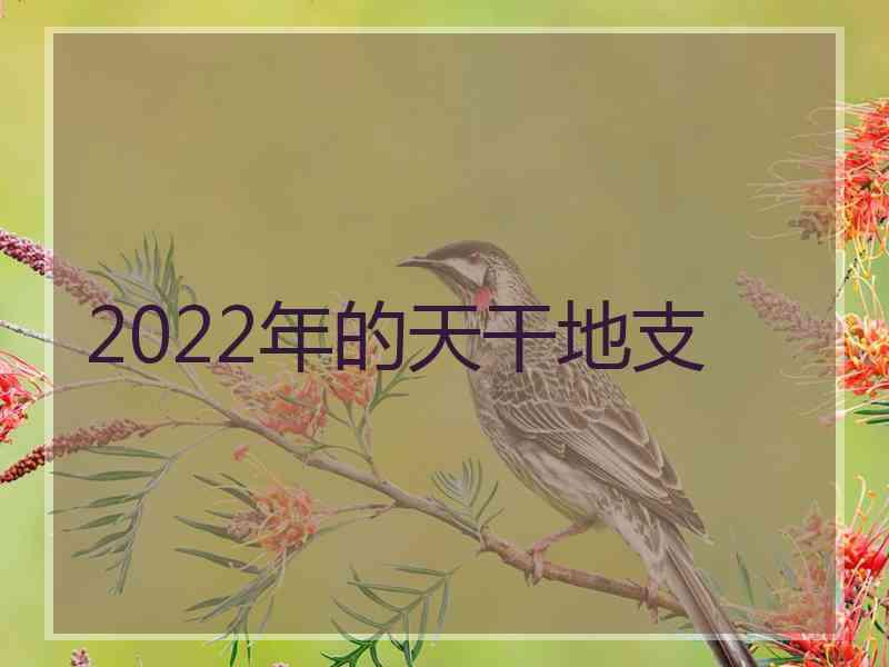 2022年的天干地支