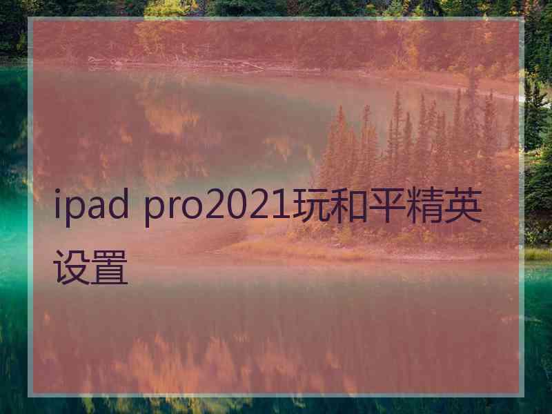 ipad pro2021玩和平精英设置