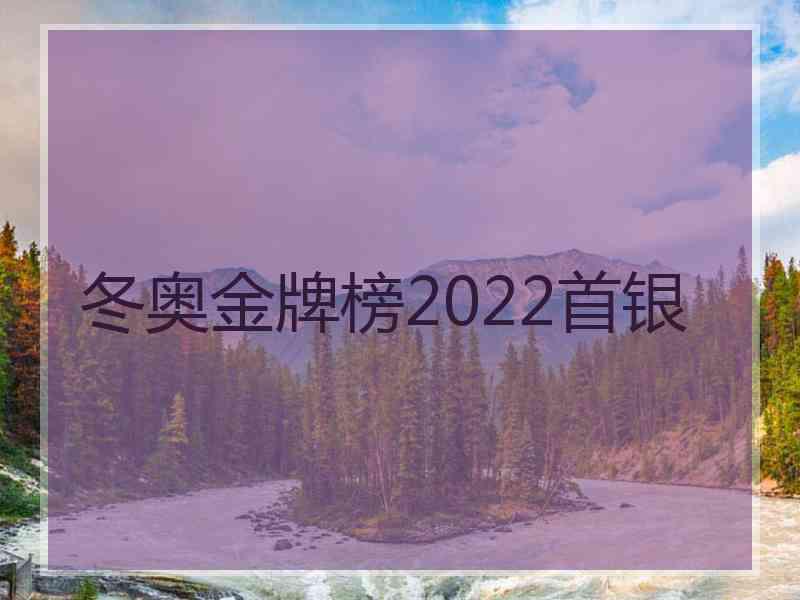 冬奥金牌榜2022首银