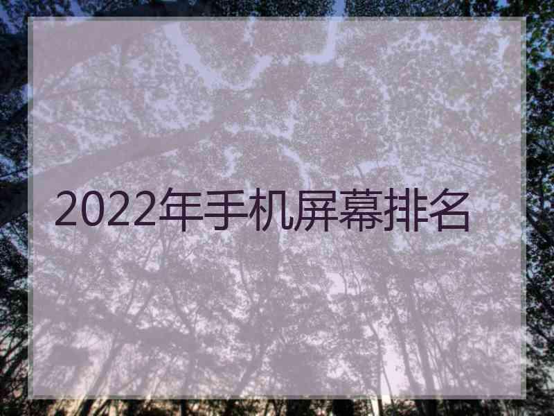 2022年手机屏幕排名