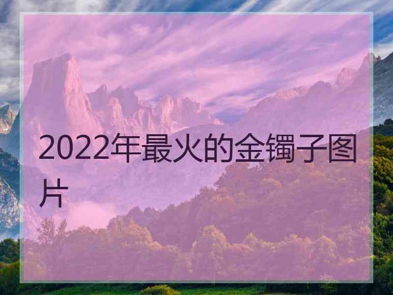 2022年最火的金镯子图片