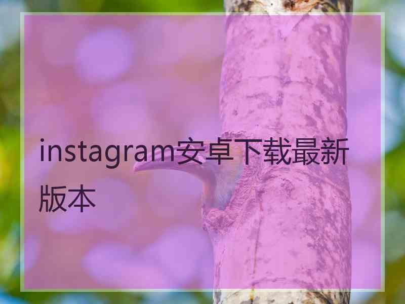 instagram安卓下载最新版本