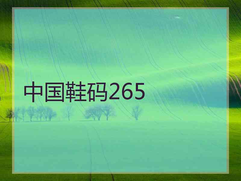 中国鞋码265