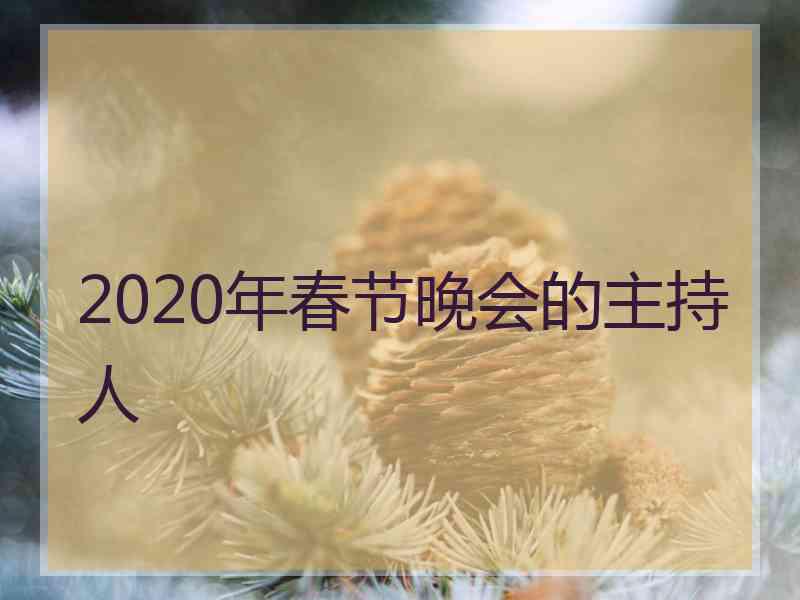 2020年春节晚会的主持人