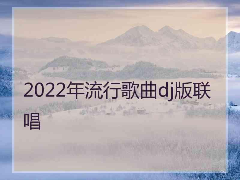 2022年流行歌曲dj版联唱