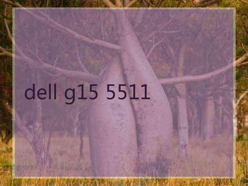 dell g15 5511