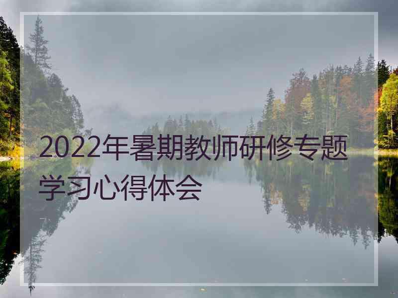 2022年暑期教师研修专题学习心得体会