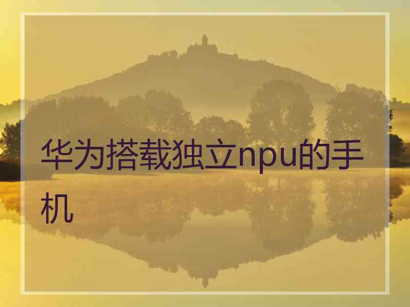 华为搭载独立npu的手机