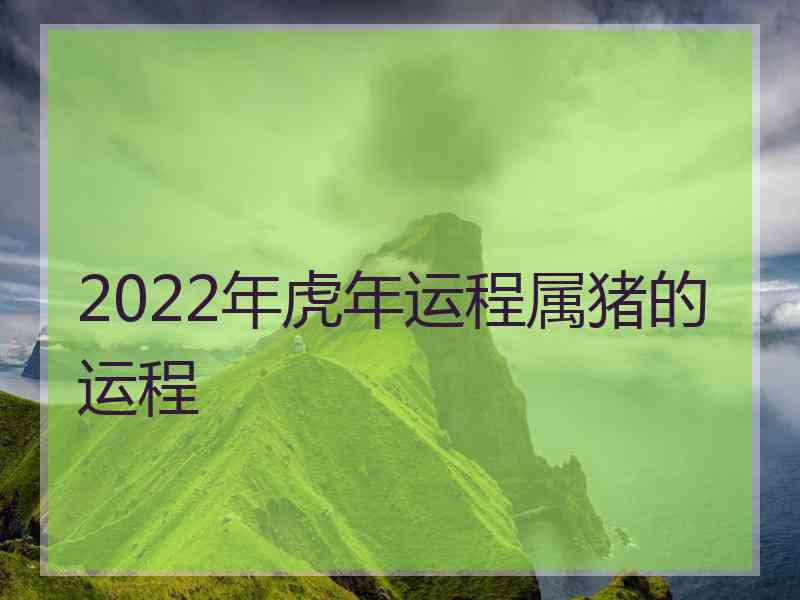 2022年虎年运程属猪的运程