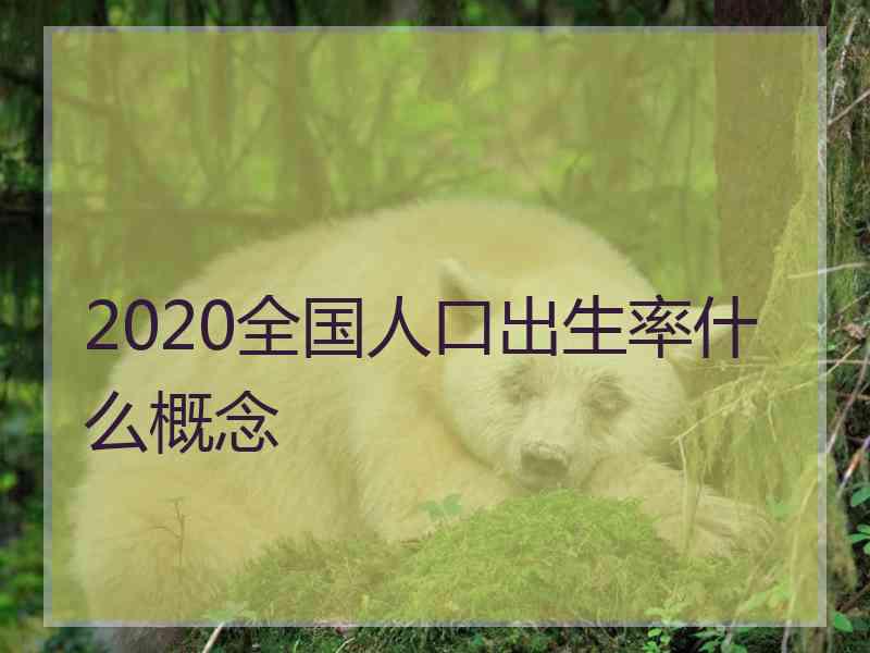 2020全国人口出生率什么概念