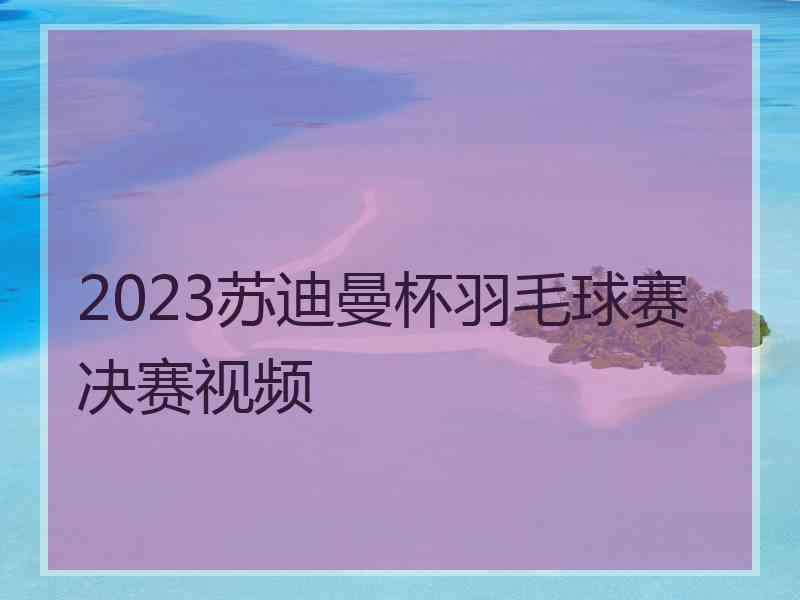 2023苏迪曼杯羽毛球赛决赛视频