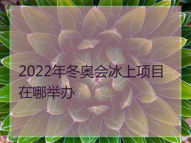 2022年冬奥会冰上项目在哪举办