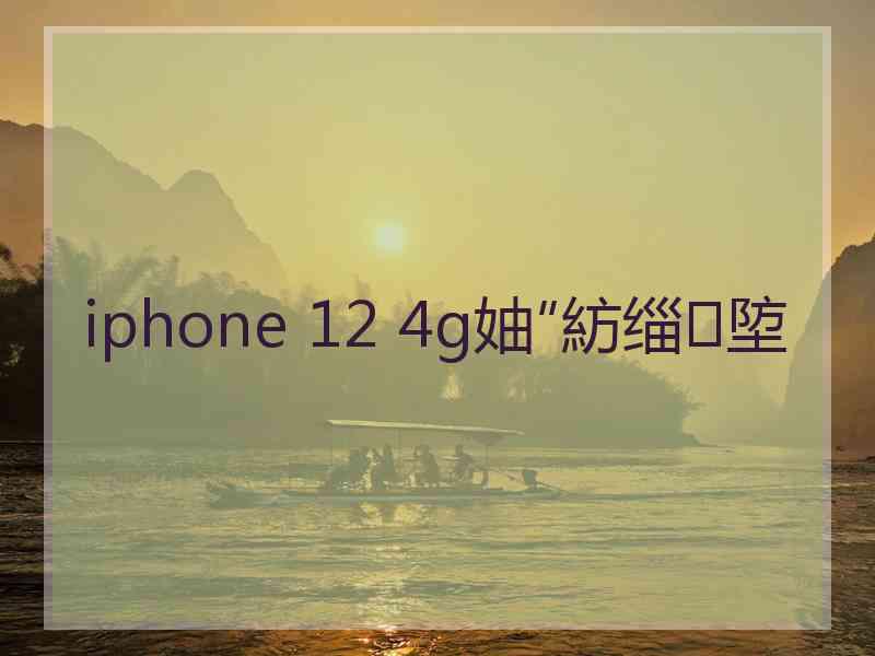 iphone 12 4g妯″紡缁埅