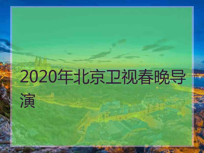 2020年北京卫视春晚导演