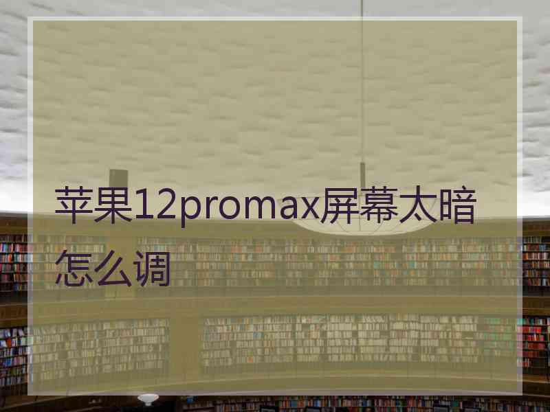 苹果12promax屏幕太暗怎么调