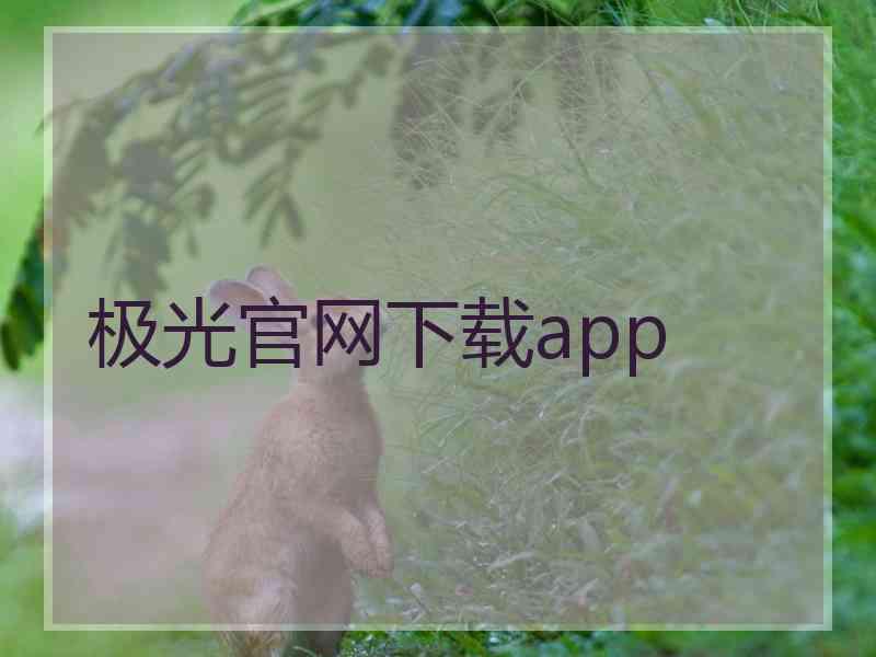 极光官网下载app