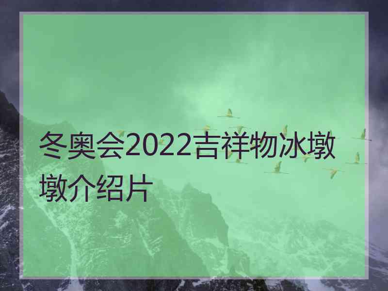 冬奥会2022吉祥物冰墩墩介绍片