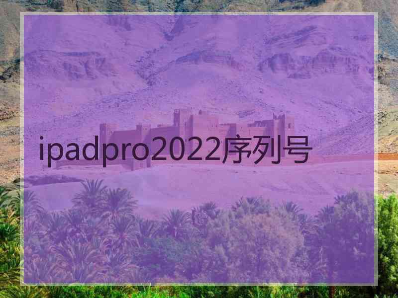 ipadpro2022序列号