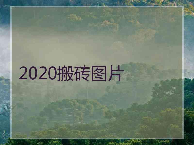 2020搬砖图片