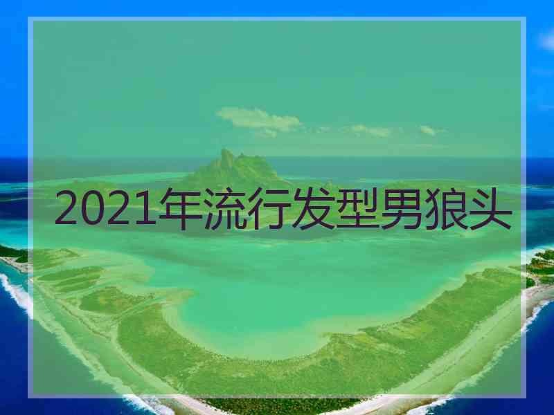 2021年流行发型男狼头