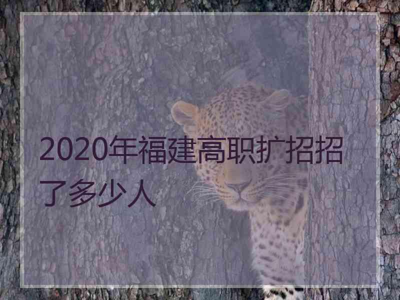 2020年福建高职扩招招了多少人