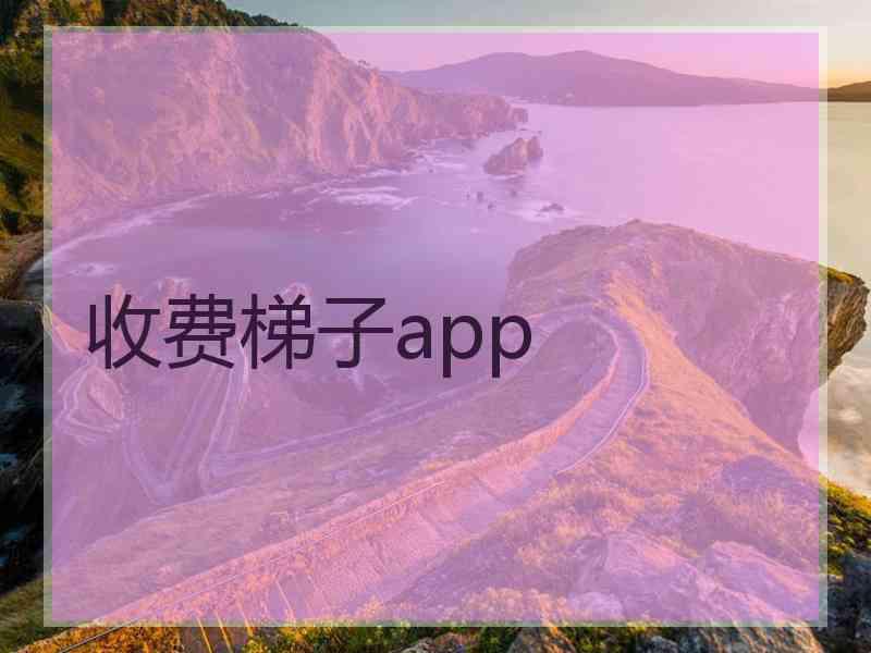 收费梯子app