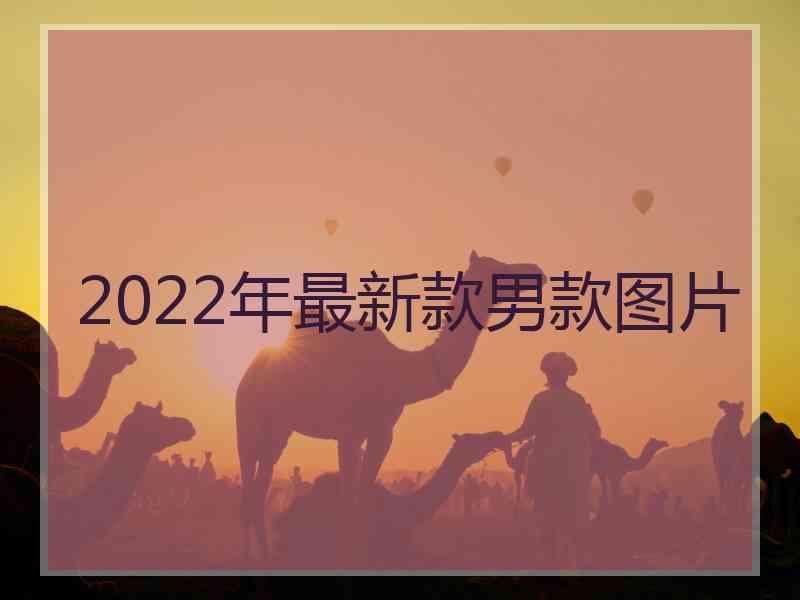 2022年最新款男款图片