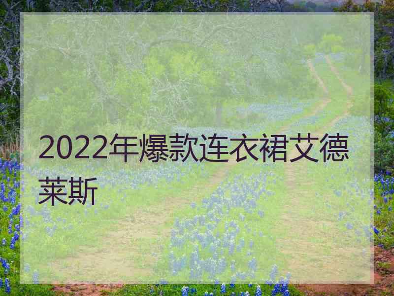 2022年爆款连衣裙艾德莱斯