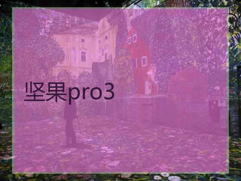 坚果pro3