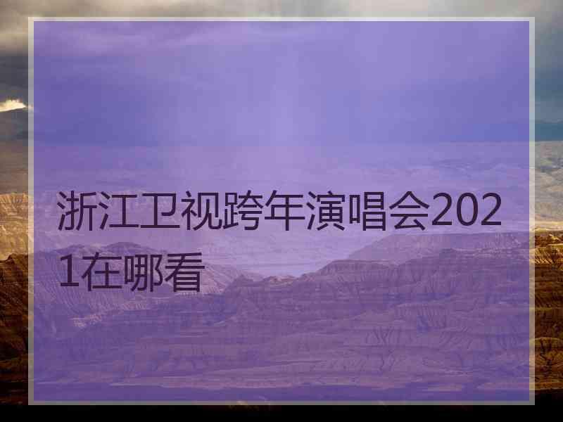 浙江卫视跨年演唱会2021在哪看